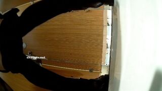 商場女廁全景偷拍 多位漂亮小姐姐的各種極品小鮑魚-03