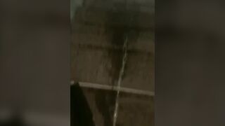 小狗撒尿 小母狗水量超多 連放水都那麼美-17