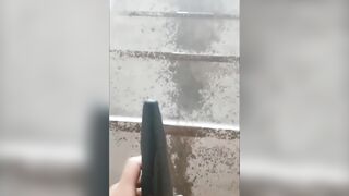 小狗撒尿 小母狗水量超多 連放水都那麼美-17