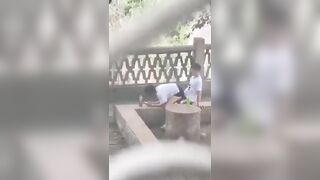 校園裡的愛情