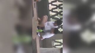 校園裡的愛情